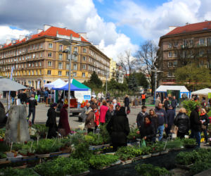 Targi Miasto-Ogród w Szczecinie
