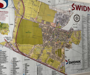 Struł się i szukał pomocy. Chory łoś zablokował ruchliwą trasę