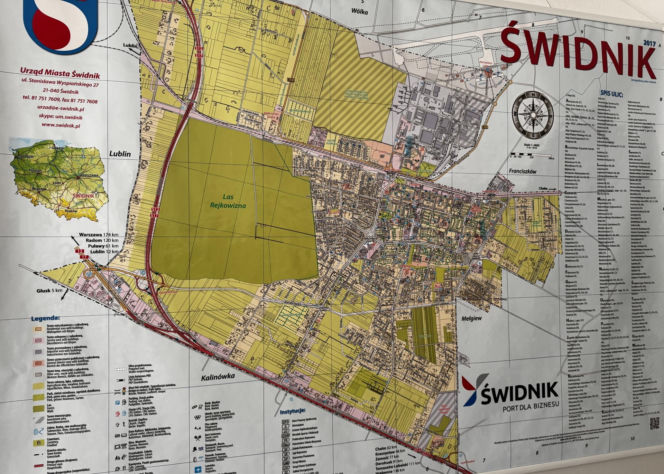 Struł się i szukał pomocy. Chory łoś zablokował ruchliwą trasę