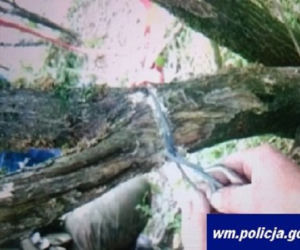 Policjanci pomogli cierpiącym zwierzętom