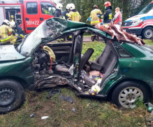 Poddębice. Finał podróży na drzewie, z audi została miazga! Cud, że wyszedł z TEGO żywo!
