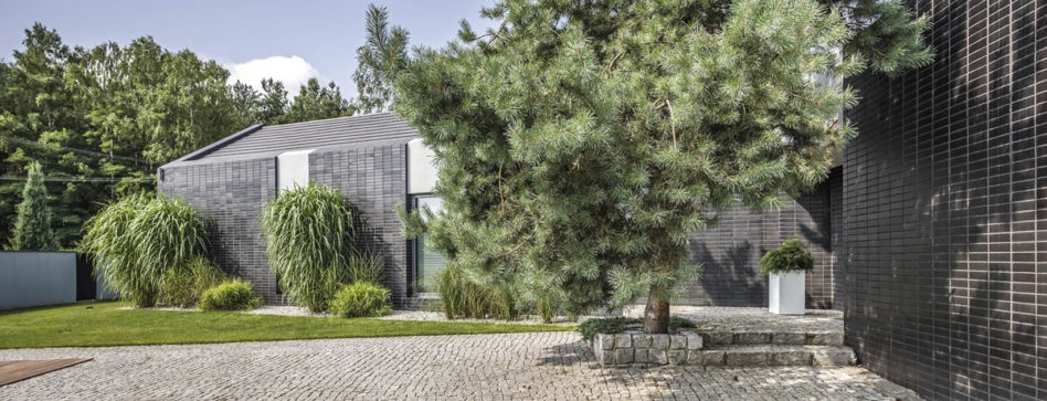 Dom y-house w Pabianicach