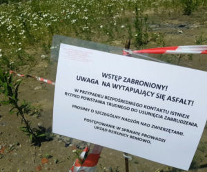 Asfalt wypływa spod ziemi