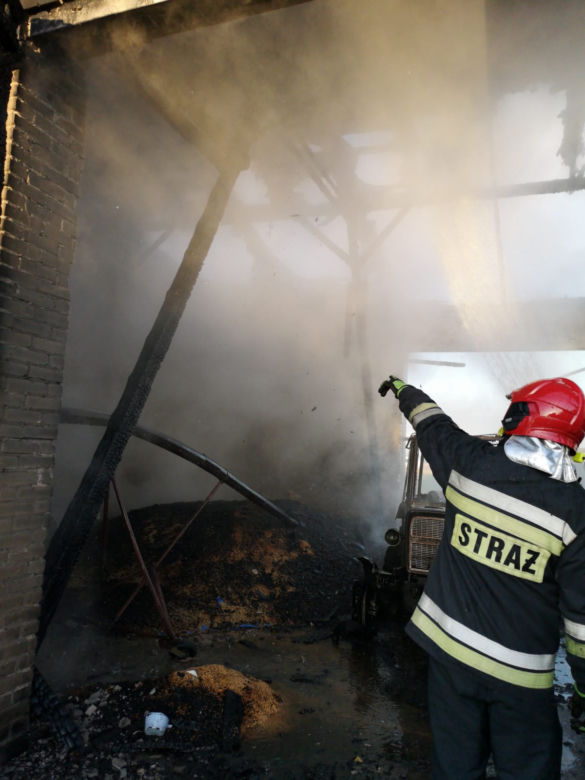 Seryjny podpalacz z łódzkiego zatrzymany! Zrobił straty na ponad 200 tysięcy złotych