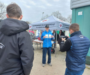 Przybyło psów w schronisku w Henrykowie koło Leszna. Ilość zatrważająca