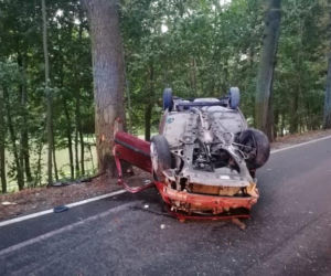 Auto uderzyło w DWA drzewa i dachowało! Świadkowie wyciągali kobietę z auta