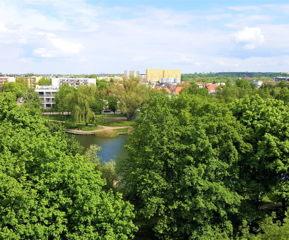 Weryfikacja projektów zgłoszonych do BBO 2021