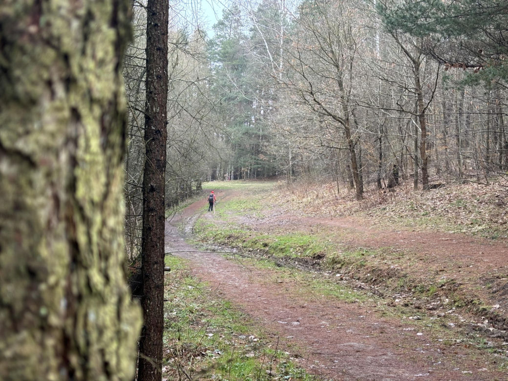 Za nami zawody biegowe BackYard Ultra Warmia 2024. Zwycięzca przebiegł ponad 470 kilometrów