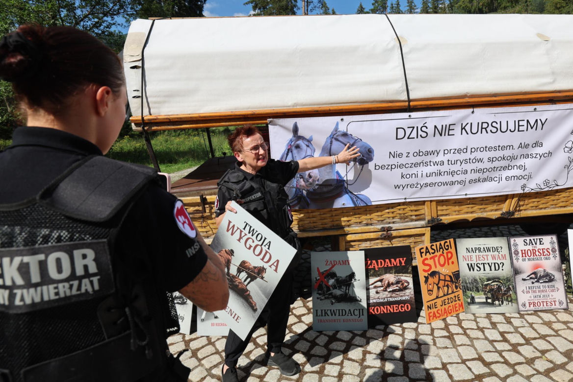 Protest przeciw przewozom konnym do Morskiego Oka