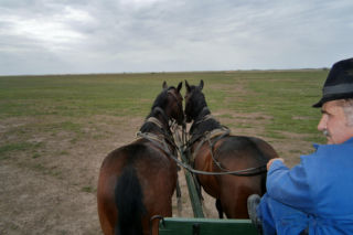 Pijany woźnica nie dał rady na zakręcie. Jego pasażerka wylądowała w szpitalu
