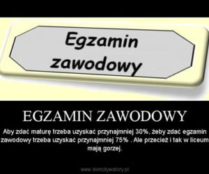 Egzamin zawodowy 2020: MEMY o egzaminie potwierdzającym kwalifikacje zawodowe [ZDJĘCIA]