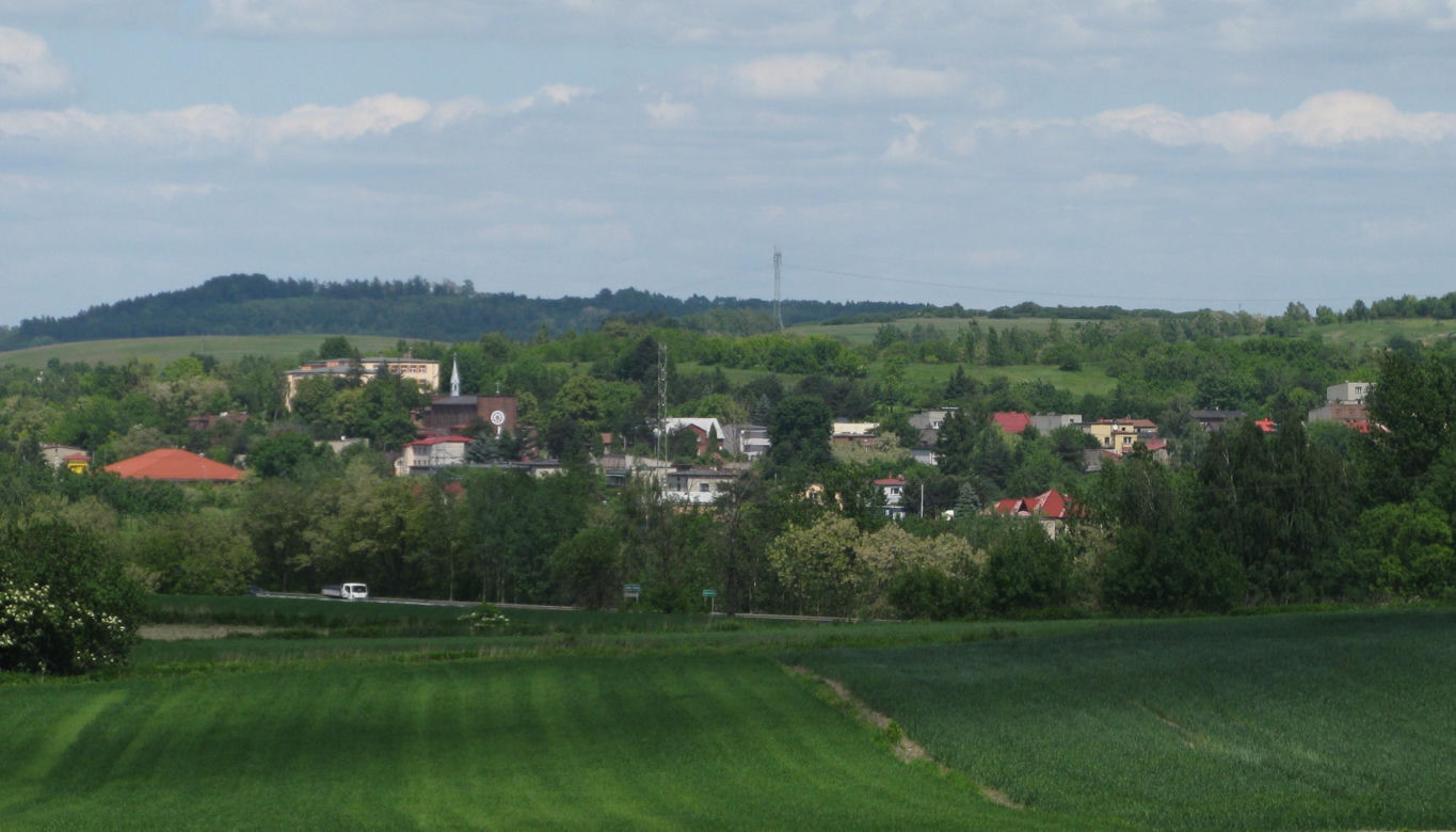 To jedno z najpiękniejszych miast w województwie śląskim. Powstało w PRL-u, wcześniej było osiedlem
