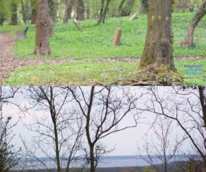 Dawny cmentarz na Stołczynie
