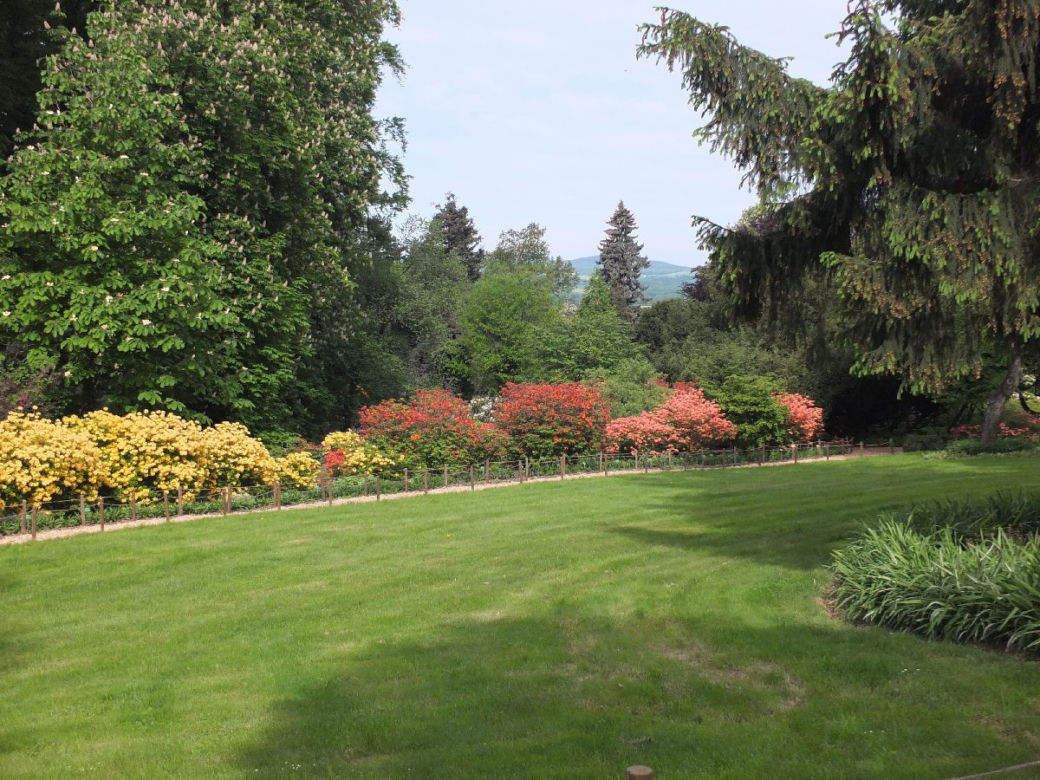 Arboretum Wojsławice prezentuje pełną paletę barw