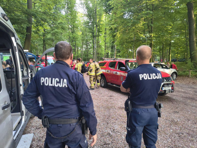 Zaginięcie 12-latki w Krakowie. Trwa wielka akcja poszukiwawcza