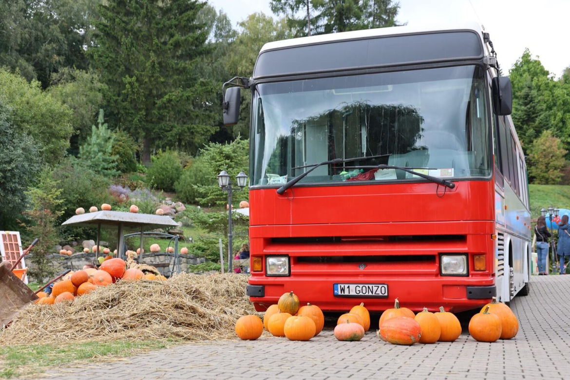 Farma dyń 2023 w Lublinie. Tak było w weekend otwarcia!