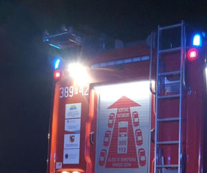 Duże straty po pożarze w spiżarni w domu w gminie Rydzyna koło Leszna