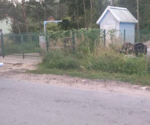 Poranne dachowanie w Wąchocku. Dwie osoby trafiły do szpitala