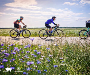 Ultra Duch Puszczy 2026. 2000 kolarzy, magia Podlasia i wydarzenie, o którym mówi cała Polska