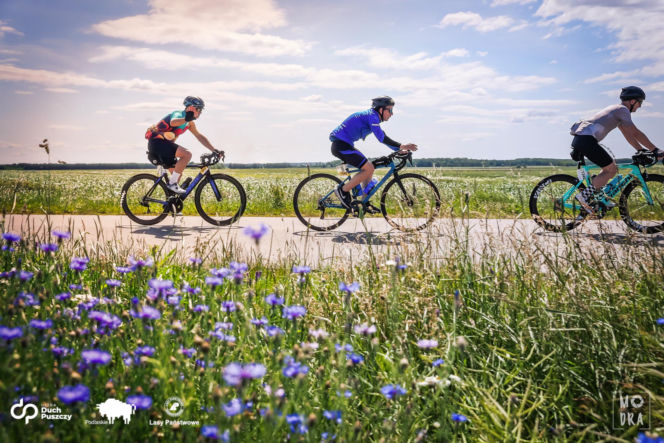 Ultra Duch Puszczy 2026. 2000 kolarzy, magia Podlasia i wydarzenie, o którym mówi cała Polska