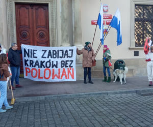 W Krakowie będą polować w najlepsze. Radni odrzucili rezolucję do władz województwa