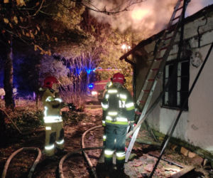 Straciła dom. Życie zawdzięcza czujności zwierząt