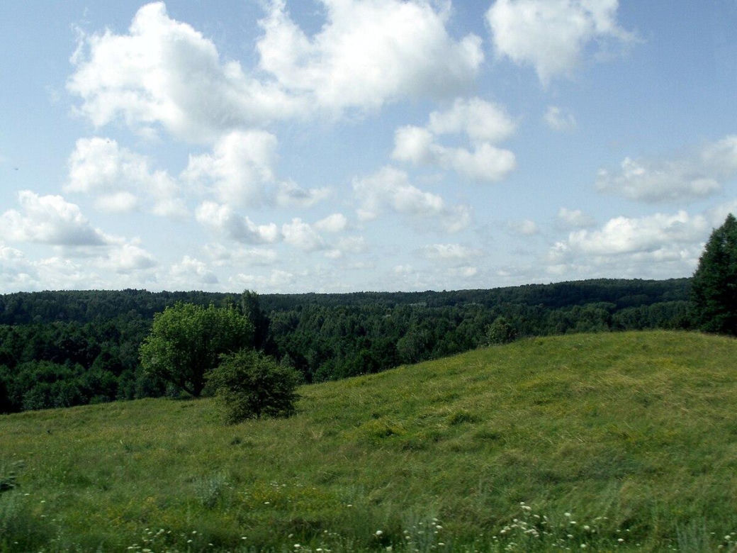 Puszcza Romincka