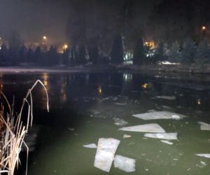 Utopili się ratując amstaffa