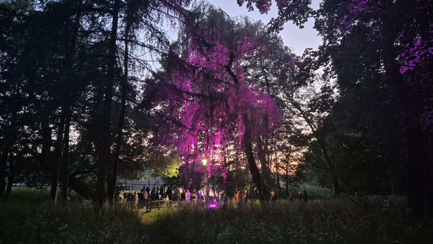 Olsztyn zamienił się w magiczną krainę. Park Świateł przyciągnął tłumy!