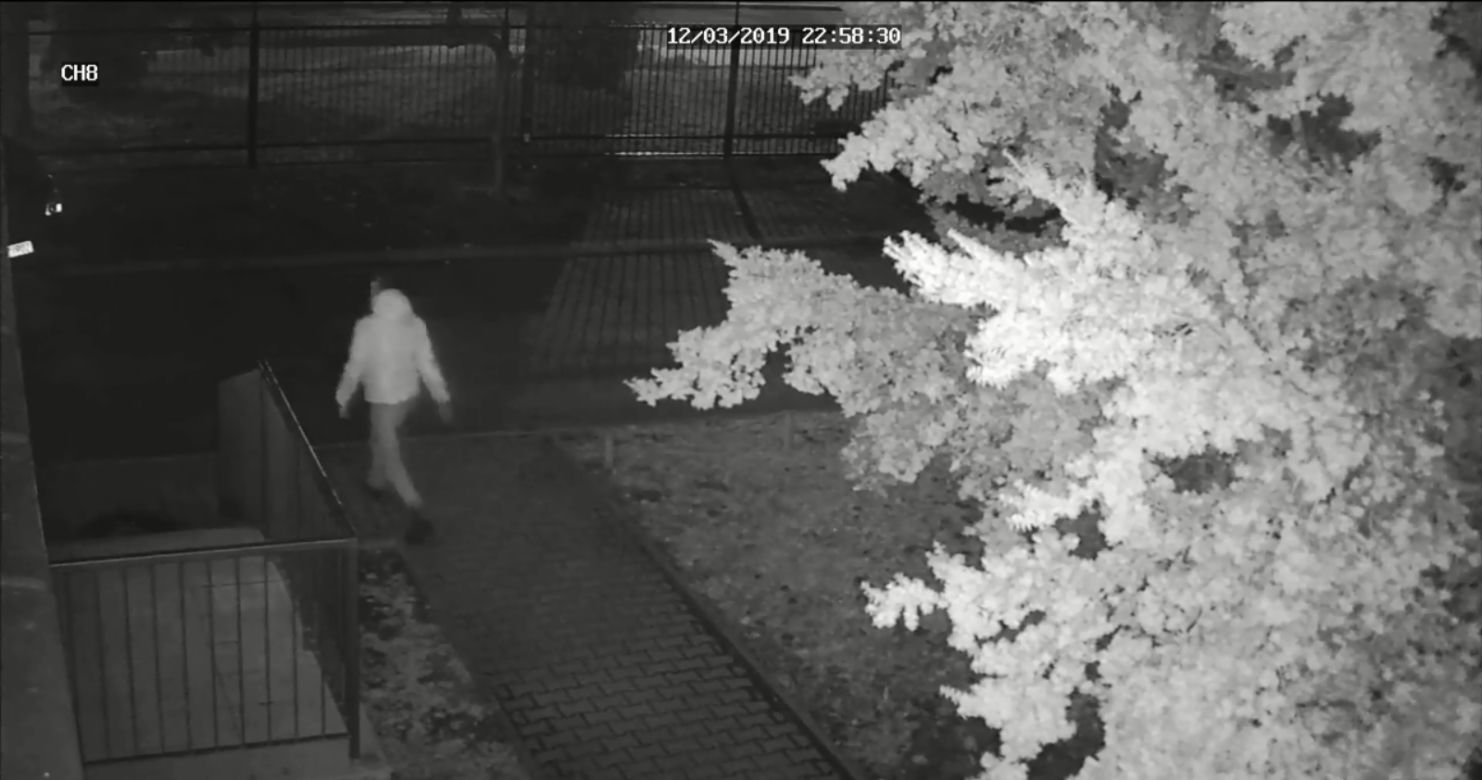 Kraków: 32-letni Francuz zatrzymany za zniszczenie 6 aut
