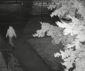 Kraków: 32-letni Francuz zatrzymany za zniszczenie 6 aut
