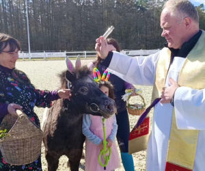 Konna święconka w Szczecinie