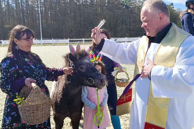 Konna święconka w Szczecinie