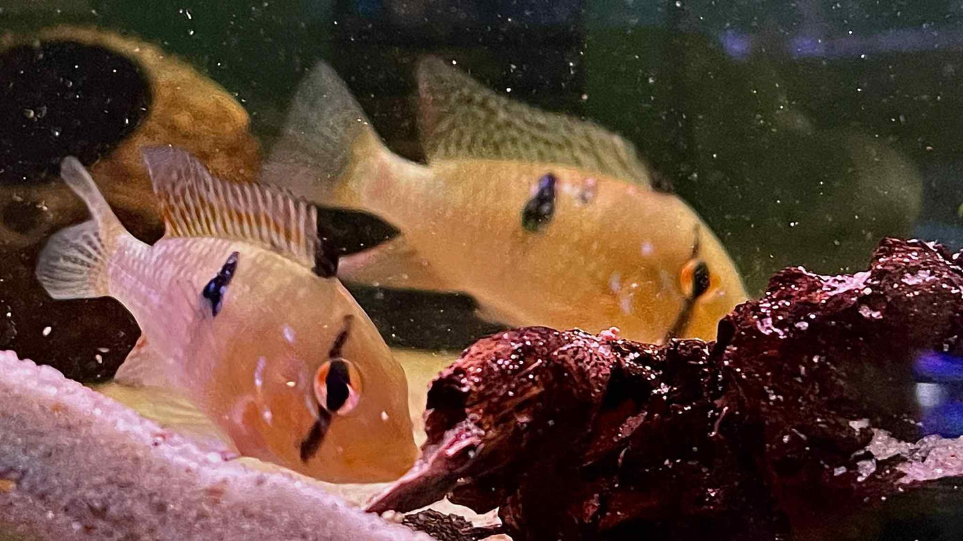 Rozmawiamy z Tomaszem Wiśniewskim, założycielem Aqua Dreams Bydgoszcz