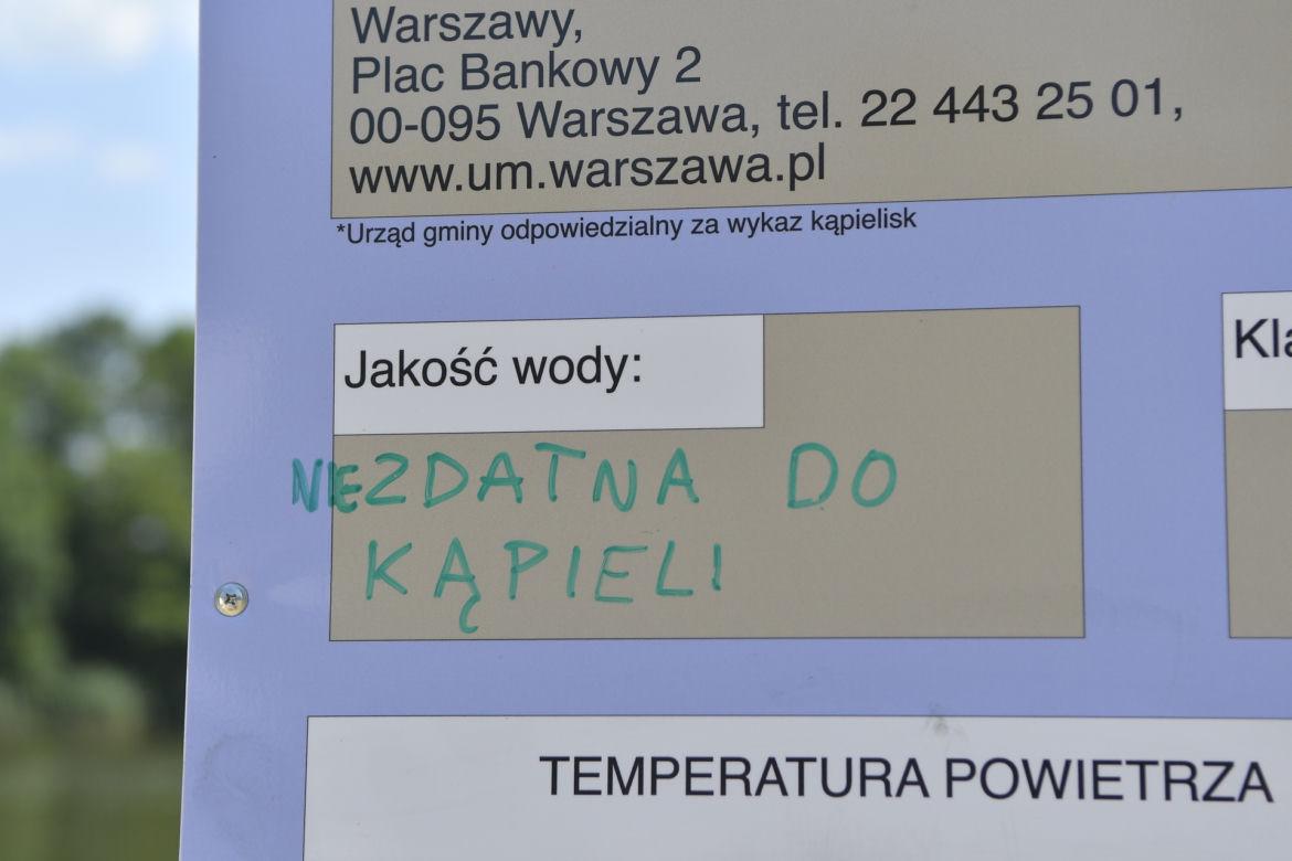 Sinice na jeziorku Czerniakowskim