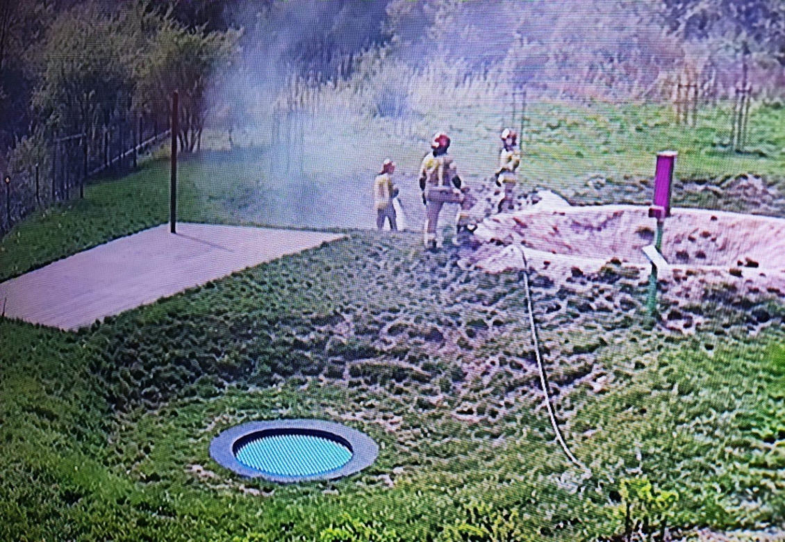 Dwie nieletnie dziewczyny spaliły trampolinę w parku w Lesznie
