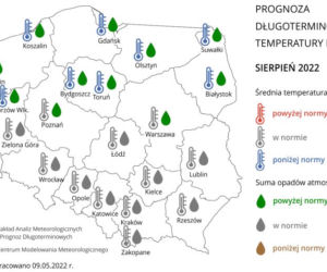 Pogoda na lato 2022: Szykuje się UPALNY lipiec! Znamy prognozy na wakacje! 