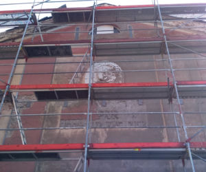 Minikopernik minął półmetek i z dnia na dzień zmienia swój wygląd