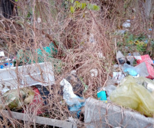 Śmieci na targowisku Świebodzki