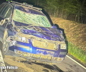 Żubr wpadł na maskę osobówki. Dramatyczne wypadek 