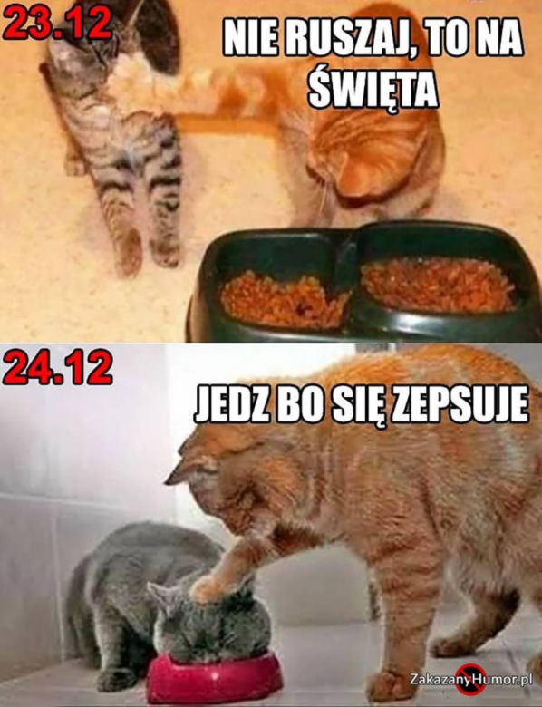 To na pewno usłyszysz przy Wigilijnym stole. Te teksty są kultowe podczas świąt [MEMY]
