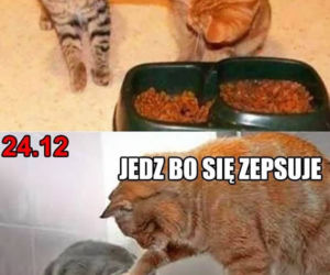 To na pewno usłyszysz przy Wigilijnym stole. Te teksty są kultowe podczas świąt [MEMY]