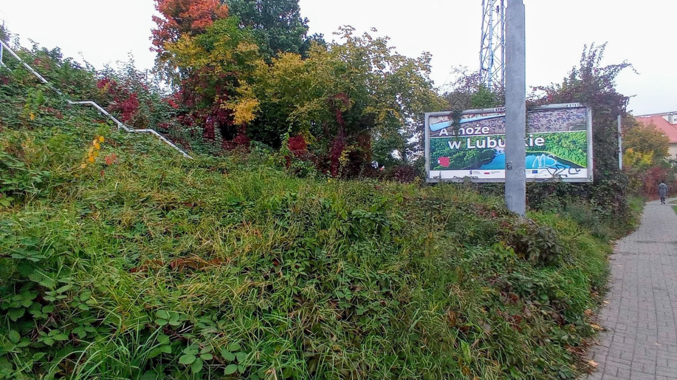 Tutaj powstanie stacja SKM Cmentarz Centralny