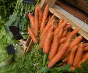Bio bazar w Olsztynku