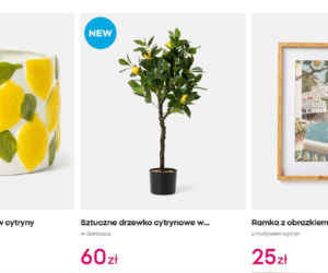 Ta cytrynowa zastawa z Pepco oczaruje każdego. Sprawi, że poczujesz się jak na Wybrzeżu Amalfi!