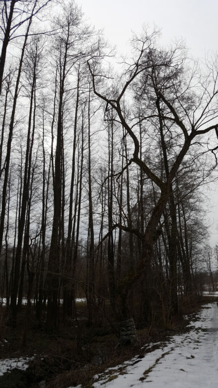 Łomżyński Park Krajobrazowy Doliny Narwi