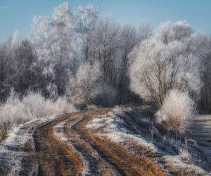 Podlasie na zdjęciach Małgorzaty Pawelczyk: Takiego klimatu jak na Podlasiu nie znajdziemy nigdzie