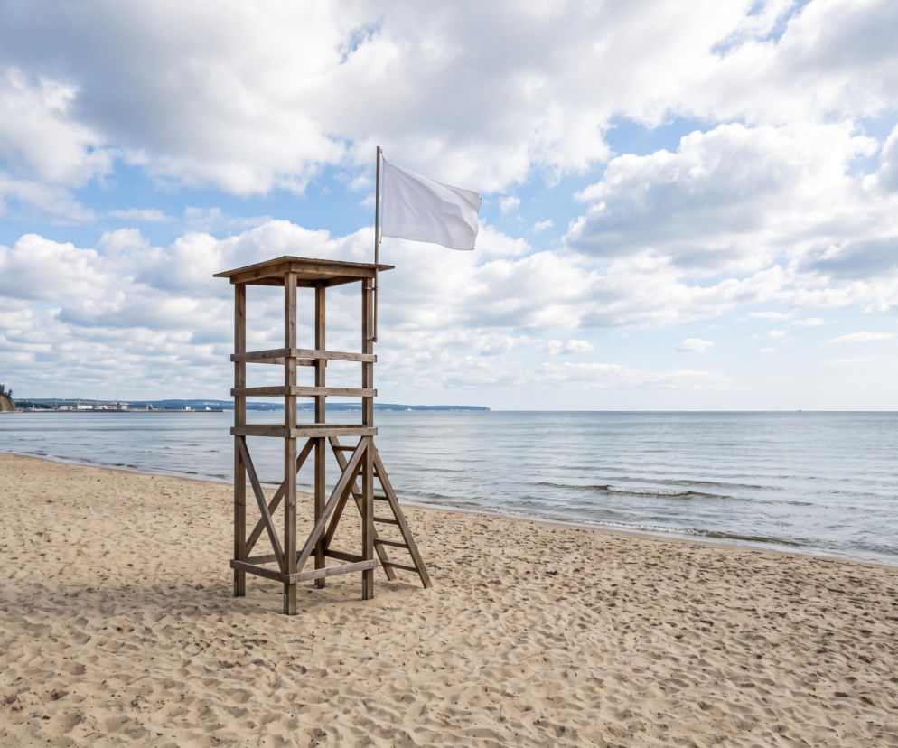 Sinice Gdynia. Czy w Gdyni można się kąpać 30.07? Flaga, warunki pogodowe
