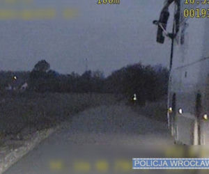 HIT! Jedną ręką prowadził, w drugiej trzymał miotłę i... poprawiał lusterko [ZDJĘCIA]