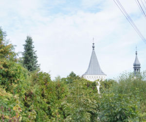 Radoszyce